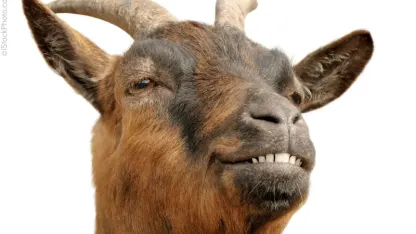 December Goat Nominations