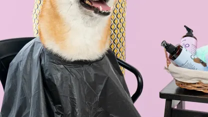 4-Pack: Kenn & Kitt Vet-Formulated Dog Shampoo