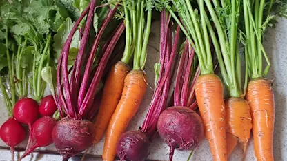 Today's bounty...