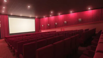 About how often do you see movies in the theater?