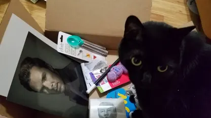 Is it time yet for another (unofficial) mehrican exchange (#7)?