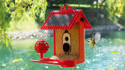Hello Birdie Solar Roof Smart Bird Feeder and Accessories
