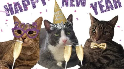 New year, new decade, new goat (January 2020 nominations)