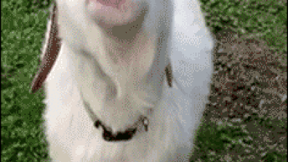 Meh needs to accept my birthday