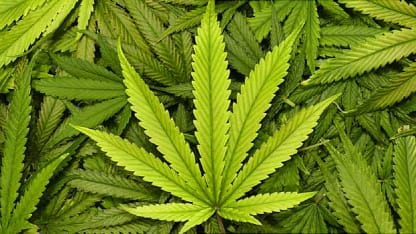 A new hidden Meh spinoff site?!?