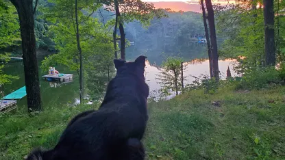 unannounced departures 😔