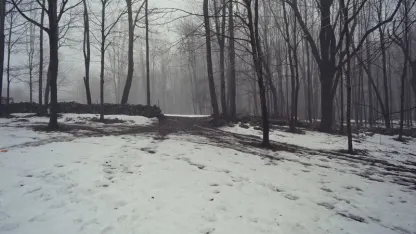 How much snow is outside right now?