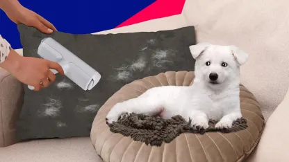 ChomChom Pet Hair Roller