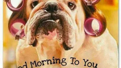 Good Tuesday Morning to you.