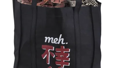 Fukobukuro 19: Fools Rush In