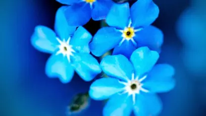 List of things I'd like to buy at meh.com