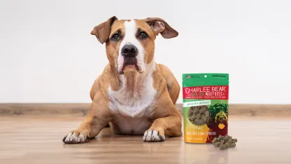 4-Pack: Charlee Bear Meaty Bites Freeze Dried Beef & Sweet Potato Dog Treats