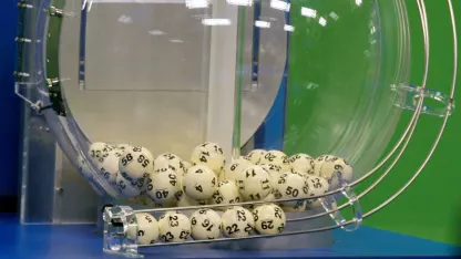 Did anyone else just see tonight's item at $40?