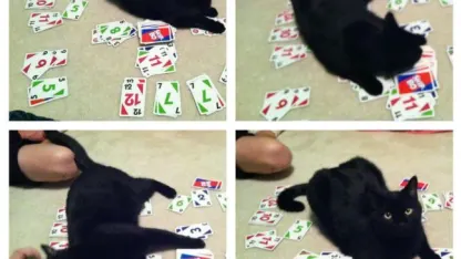 Do you own nice things?