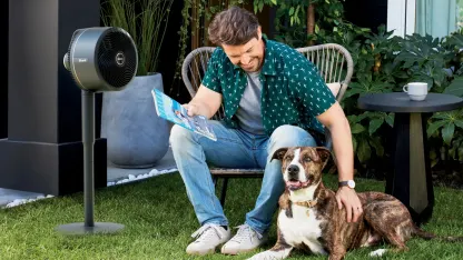 Shark FlexBreeze Fan w/Misting Attachment Black (Certified Renewed)