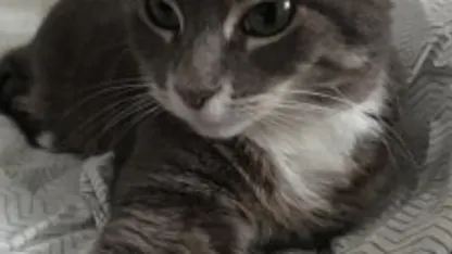 My idea for a new deal site that will overtake all other deal sites.