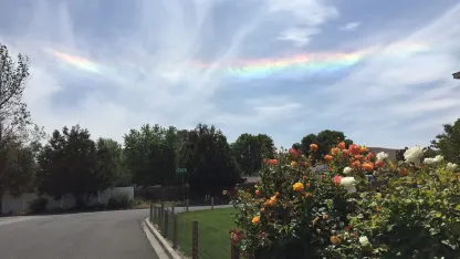 It's my own little world