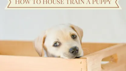 What do you do with your house keys when you're going on a long trip?