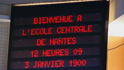 Y2K was 19 years late! The world has collapsed! What role do you take on in the post-apocalypse?
