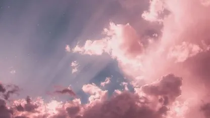 Meh App fro iPhone missing.