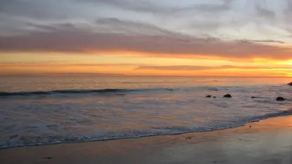 In light of the raging Fuku complaint storm...