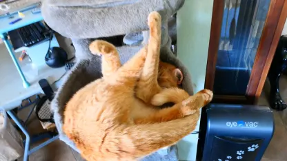 Something's wrong with Captain America