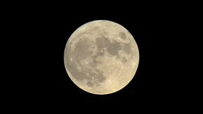 DSLR gurus: some advice please