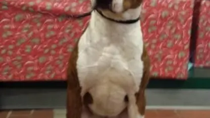 This is a sad & depressing story worth reading