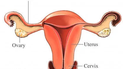 Mad Ape Den: Troubleshooting