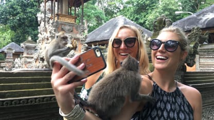 Did you travel much in 2017?