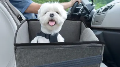 Kallodear Dog Car Seat for Small and Medium Dogs