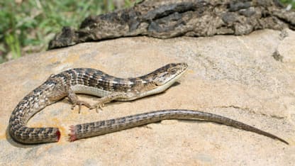 So that's how it works.