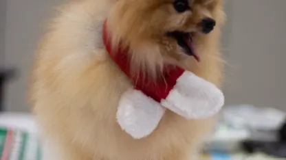 Tongue Out Thursday with your Mehrry Muppet