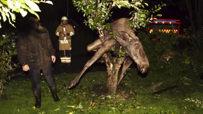 Happy National Awkward Moments Day!