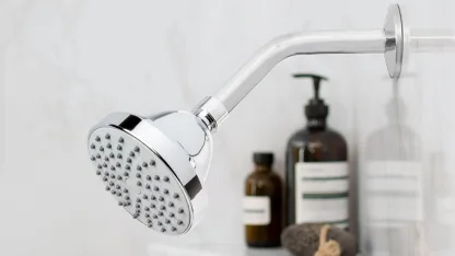 2-Pack: Maya 4" Shower Head