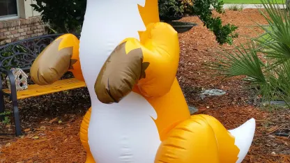 Inflatable of the Day 4/29