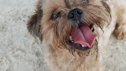 My new family member - can you help?