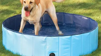 SummerPawz 47" Portable Paw Pool
