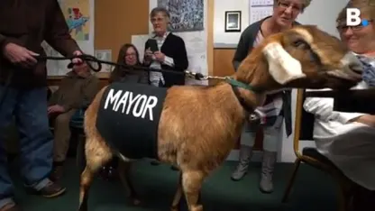 April Fool's? No, April goat. (April 2022 nominations)