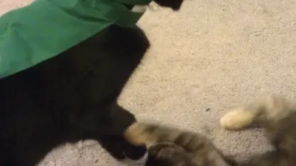 For Anybody but @Narfcake (Nov 2016 Stuff)