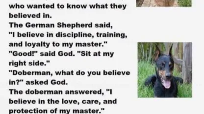 A German Shepherd, a Doberman, and a cat died...