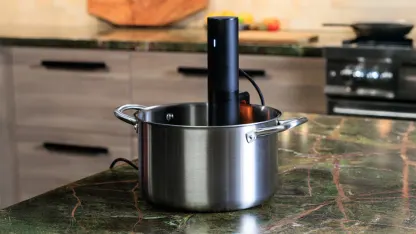 Anova Precision Cooker Mini Sous Vide