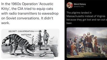 The weird thing I learned today.