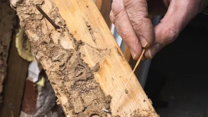 What's the biggest home construction/repair/maintenance job you've ever hired someone to do?