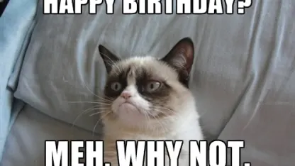 I had a Meh birthday!