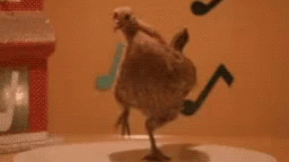 Happy National Poultry Day!