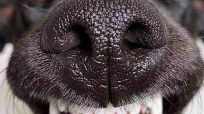 What you got going on this fine Saturday?