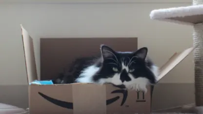 Will meh sue for fake reviews?