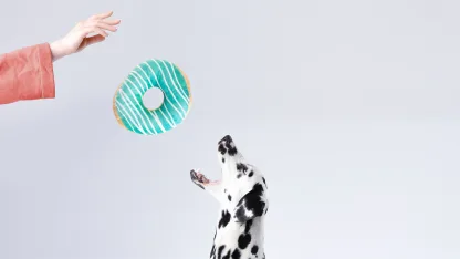 3-Pack: Junk Food Crinkle Dog Toys