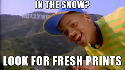 How do you find Will Smith in the snow?